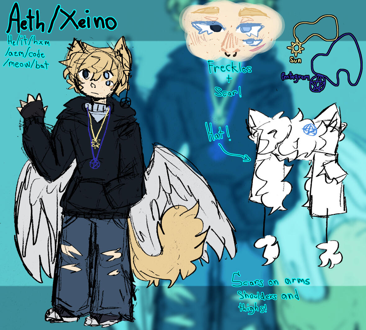Sona reference sheet
